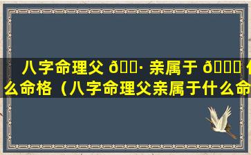 八字命理父 🕷 亲属于 💐 什么命格（八字命理父亲属于什么命格类型）